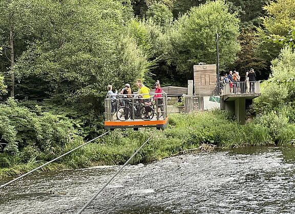 adfc-mettmann unterwegs auf einer Seilfähre